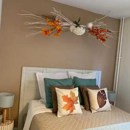 Le Belpierre Apartment Colmar